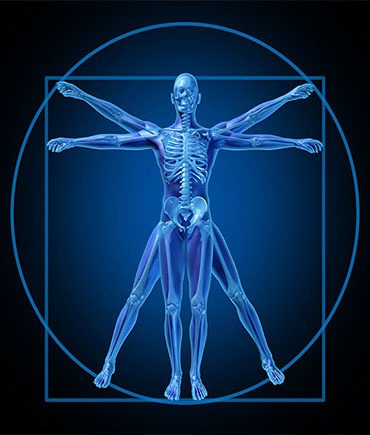  Body Mechanics Education