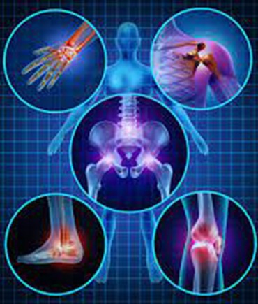 Musculoskeletal Physiotherapy